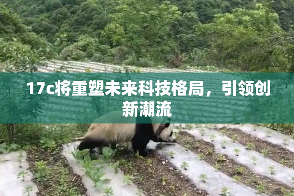 17c将重塑未来科技格局，引领创新潮流