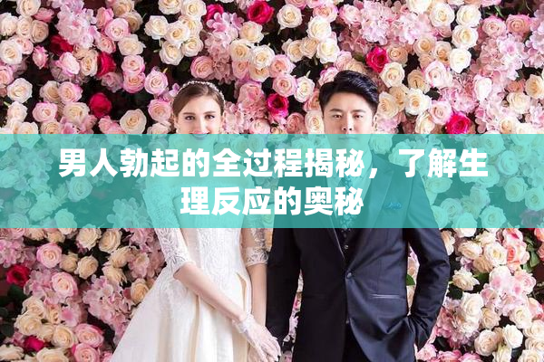 男人勃起的全过程揭秘，了解生理反应的奥秘