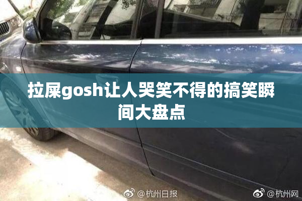 拉屎gosh让人哭笑不得的搞笑瞬间大盘点