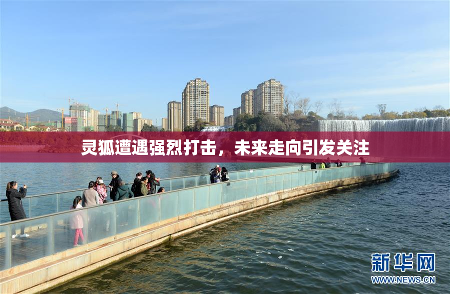 灵狐遭遇强烈打击，未来走向引发关注
