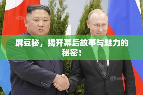 麻豆秘，揭开幕后故事与魅力的秘密！