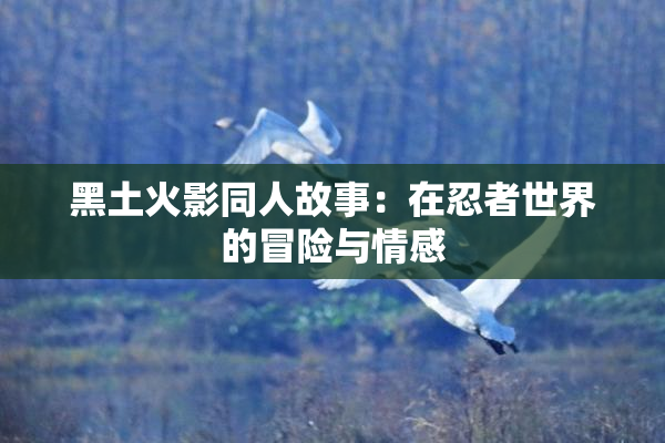 黑土火影同人故事：在忍者世界的冒险与情感