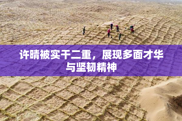 许晴被实干二重，展现多面才华与坚韧精神