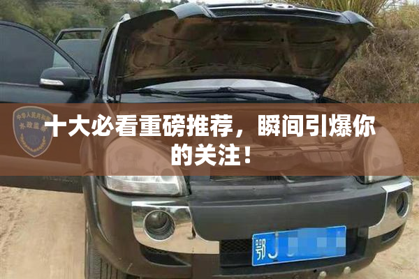 十大必看重磅推荐，瞬间引爆你的关注！