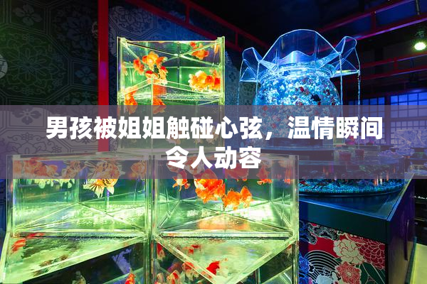 男孩被姐姐触碰心弦，温情瞬间令人动容