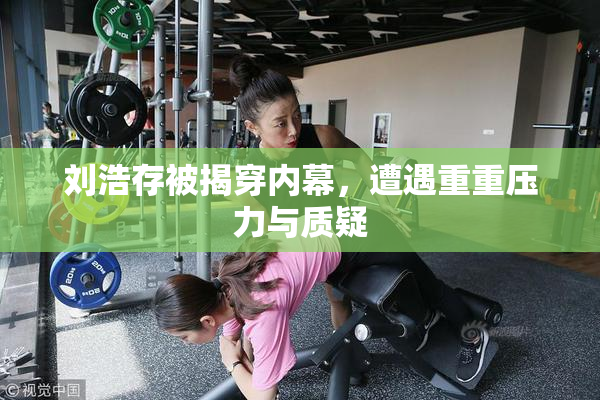 刘浩存被揭穿内幕，遭遇重重压力与质疑