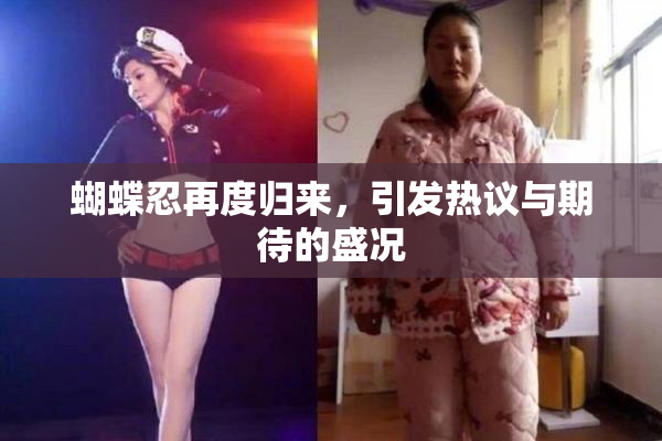 蝴蝶忍再度归来，引发热议与期待的盛况