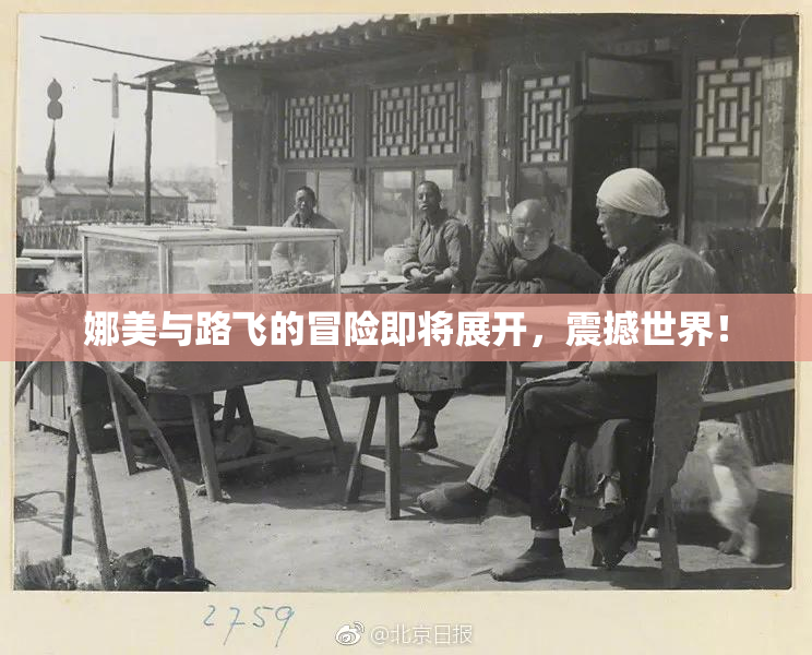 娜美与路飞的冒险即将展开，震撼世界！