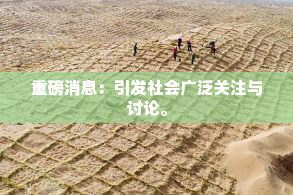 重磅消息：引发社会广泛关注与讨论。