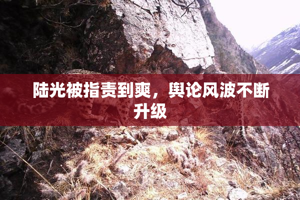 陆光被指责到爽，舆论风波不断升级