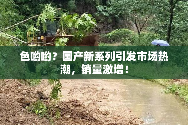 色哟哟？国产新系列引发市场热潮，销量激增！