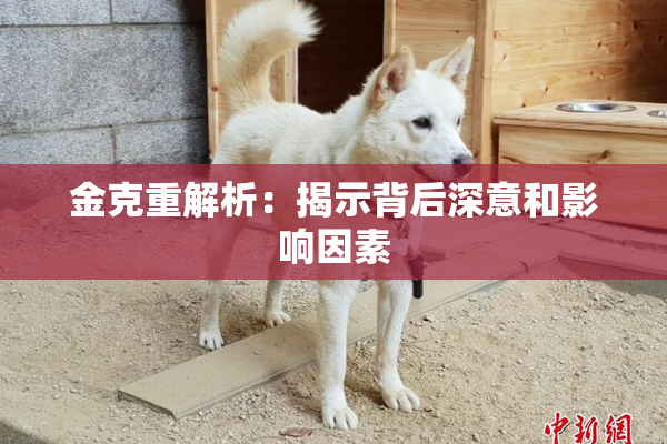 金克重解析：揭示背后深意和影响因素