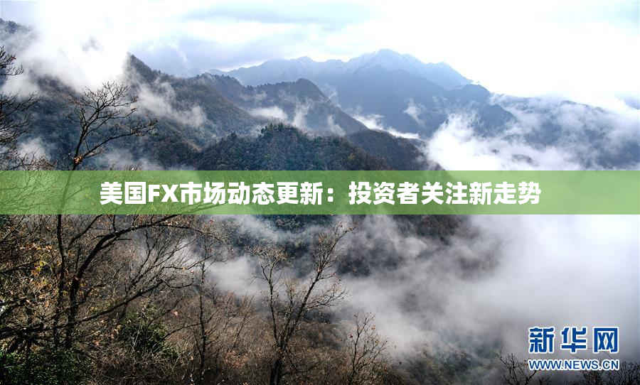 美国FX市场动态更新：投资者关注新走势