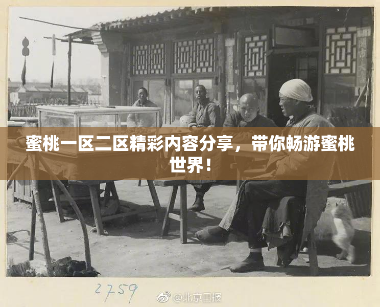 蜜桃一区二区精彩内容分享，带你畅游蜜桃世界！