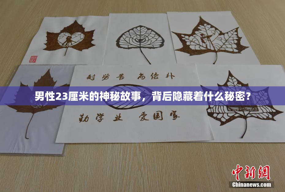 男性23厘米的神秘故事，背后隐藏着什么秘密？