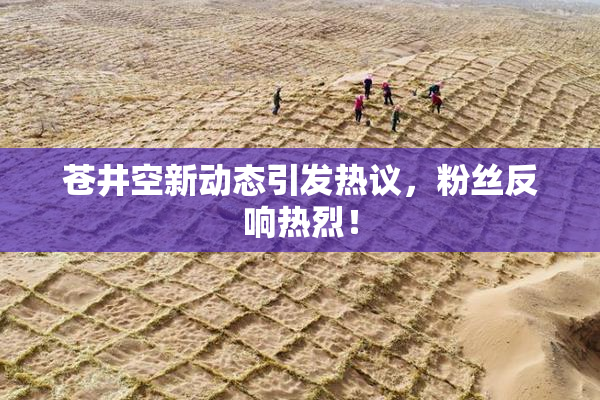 苍井空新动态引发热议，粉丝反响热烈！