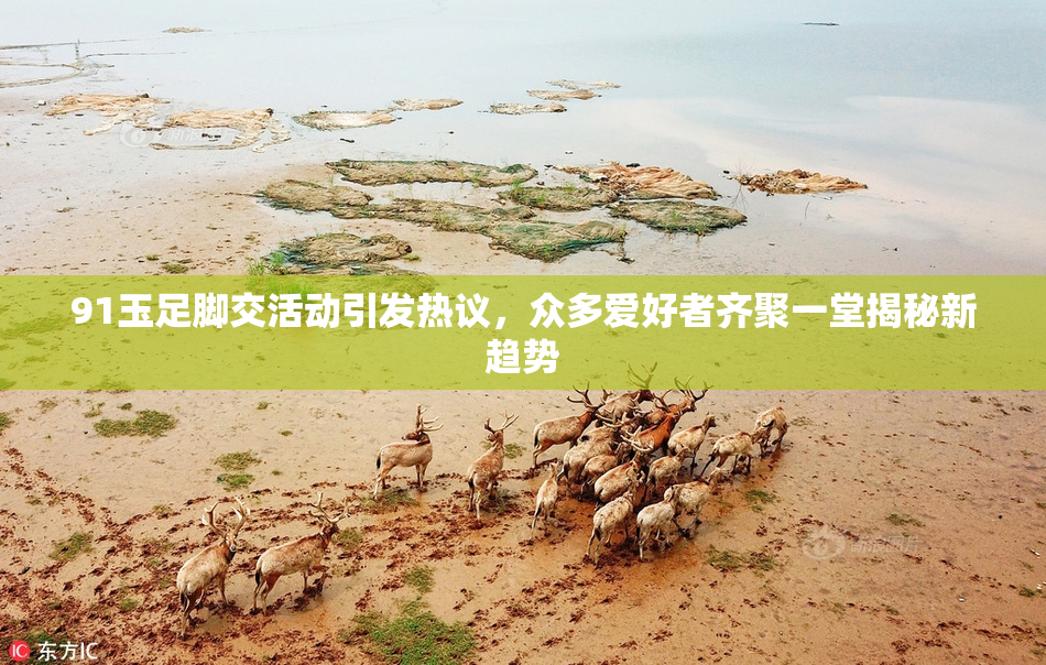91玉足脚交活动引发热议，众多爱好者齐聚一堂揭秘新趋势