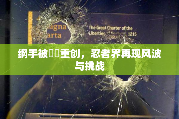 纲手被❌‌重创，忍者界再现风波与挑战