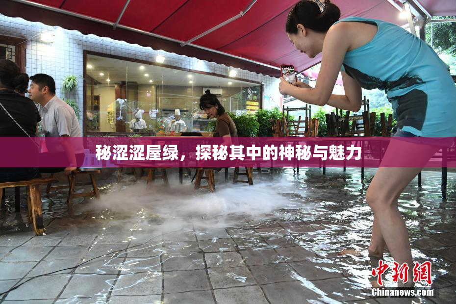 秘涩涩屋绿，探秘其中的神秘与魅力