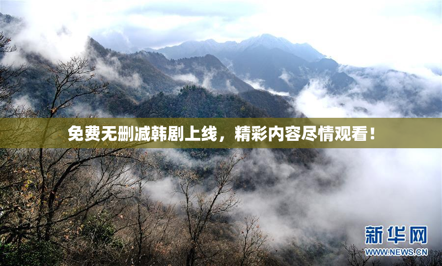 免费无删减韩剧上线，精彩内容尽情观看！