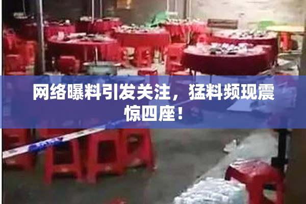 网络曝料引发关注，猛料频现震惊四座！