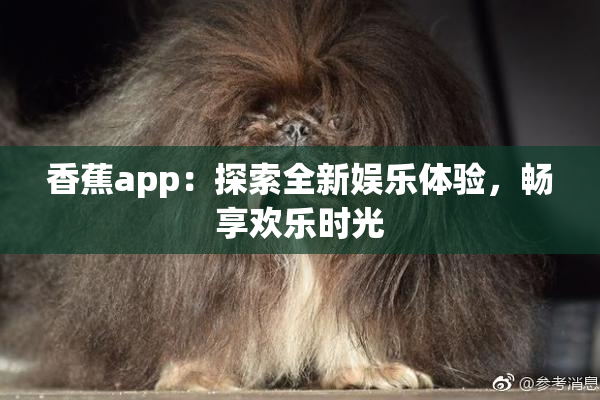 香蕉app：探索全新娱乐体验，畅享欢乐时光