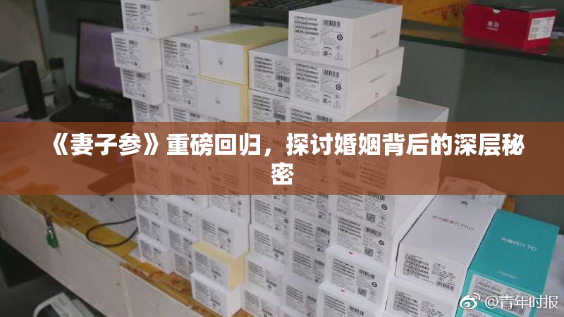 《妻子参》重磅回归，探讨婚姻背后的深层秘密