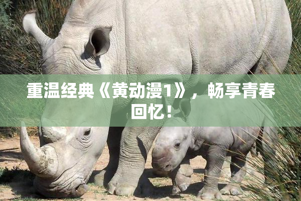 重温经典《黄动漫1》，畅享青春回忆！