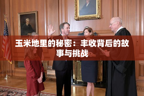 玉米地里的秘密：丰收背后的故事与挑战