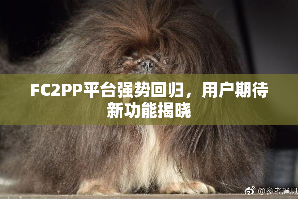 FC2PP平台强势回归，用户期待新功能揭晓