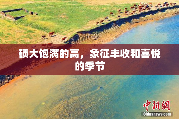 硕大饱满的高，象征丰收和喜悦的季节