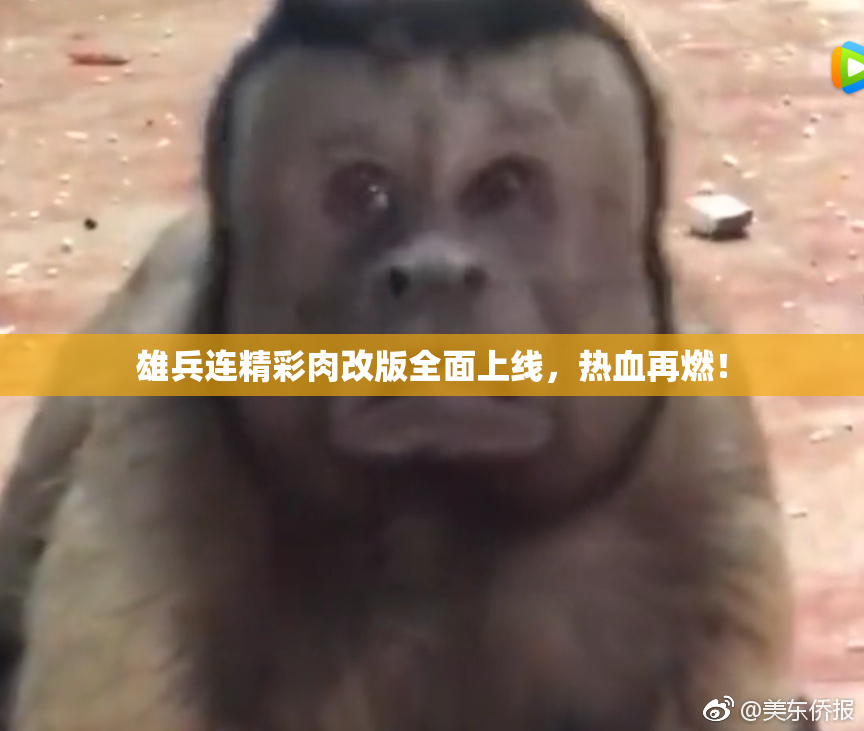 雄兵连精彩肉改版全面上线，热血再燃！
