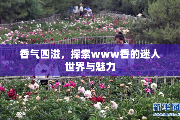 香气四溢，探索www香的迷人世界与魅力