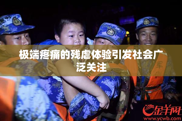 极端疼痛的残虐体验引发社会广泛关注