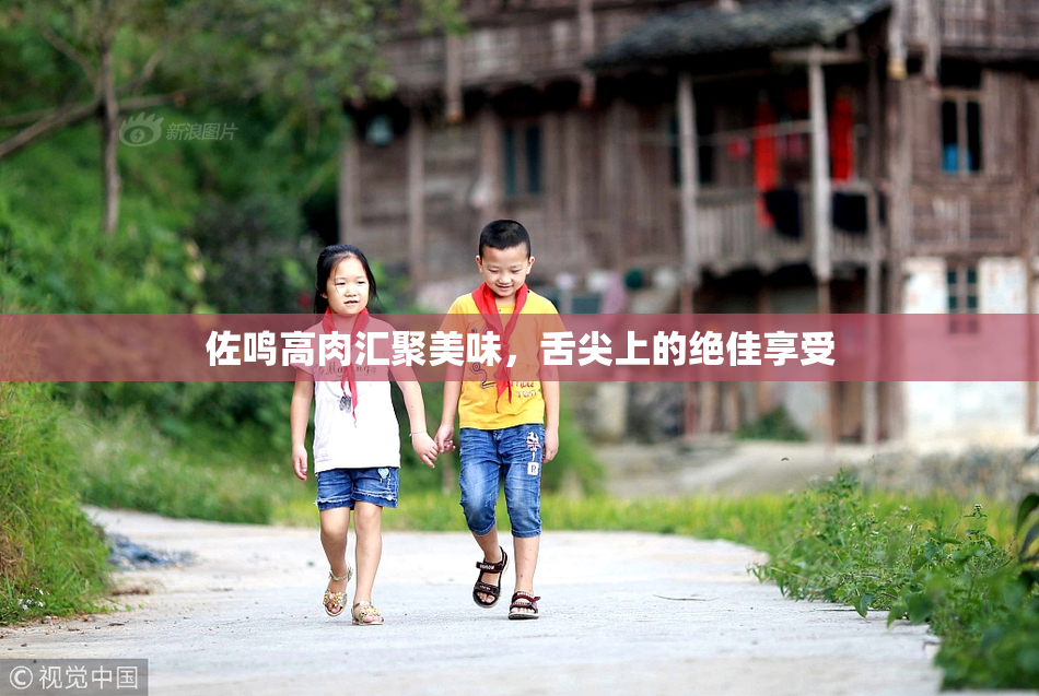 佐鸣高肉汇聚美味，舌尖上的绝佳享受