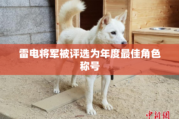 雷电将军被评选为年度最佳角色称号