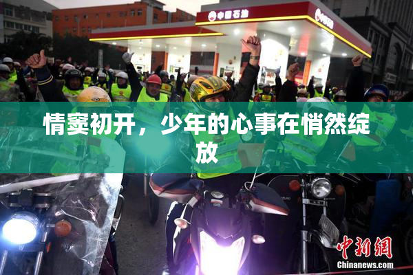 情窦初开，少年的心事在悄然绽放