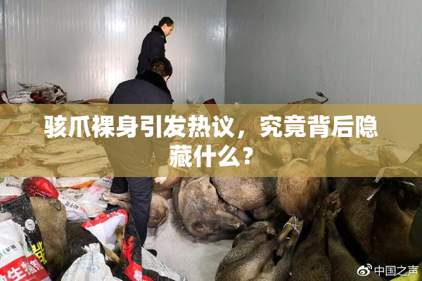 骇爪裸身引发热议，究竟背后隐藏什么？