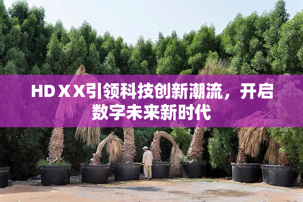 HDⅩX引领科技创新潮流，开启数字未来新时代