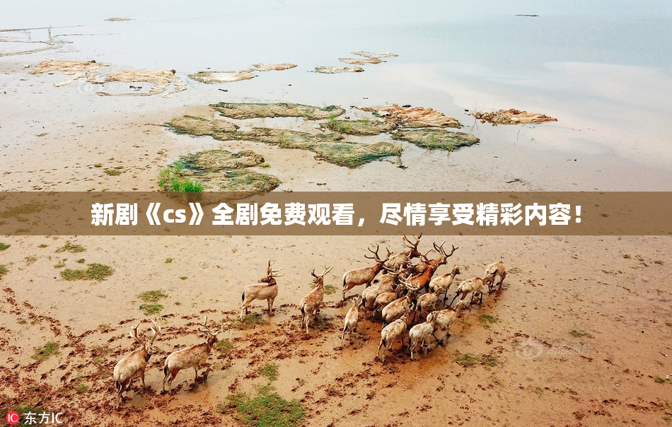 新剧《cs》全剧免费观看，尽情享受精彩内容！