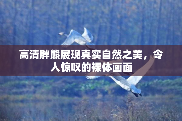 高清胖熊展现真实自然之美，令人惊叹的裸体画面