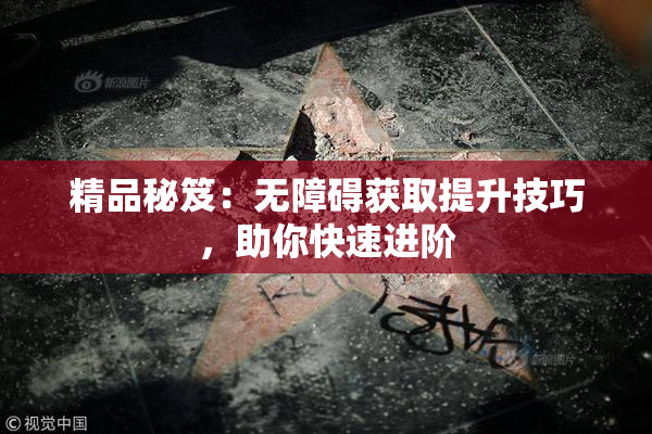 精品秘笈：无障碍获取提升技巧，助你快速进阶