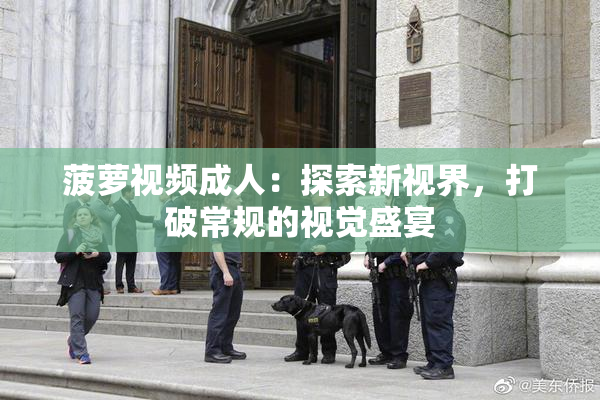 菠萝视频成人：探索新视界，打破常规的视觉盛宴