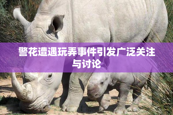 警花遭遇玩弄事件引发广泛关注与讨论