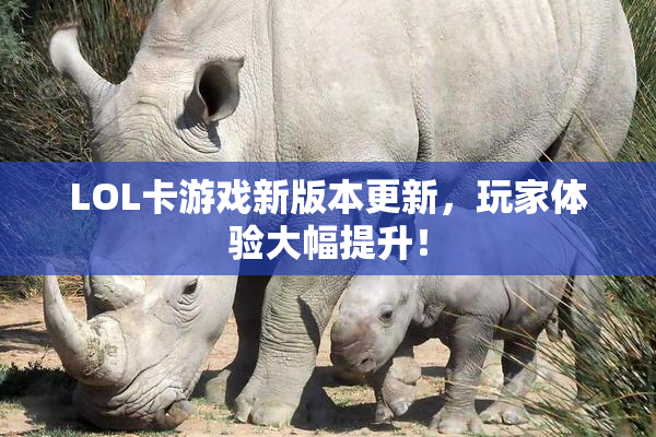 LOL卡游戏新版本更新，玩家体验大幅提升！