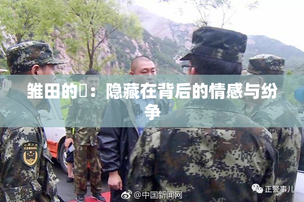 雏田的婬：隐藏在背后的情感与纷争