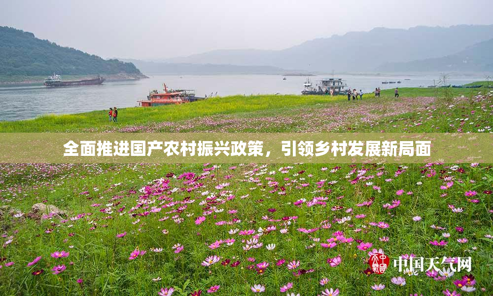 全面推进国产农村振兴政策，引领乡村发展新局面
