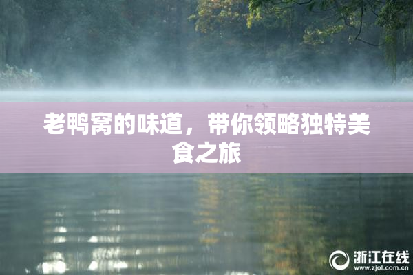 老鸭窝的味道，带你领略独特美食之旅