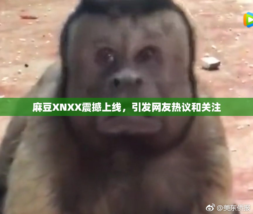 麻豆XNXX震撼上线，引发网友热议和关注
