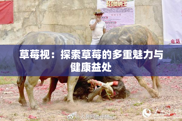 草莓视：探索草莓的多重魅力与健康益处